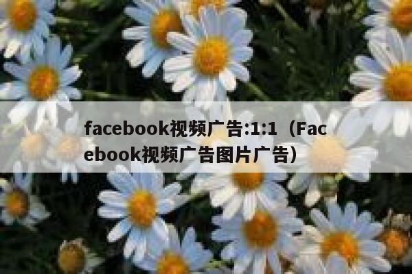 facebook视频广告:1:1（Facebook视频广告图片广告） 第1张
