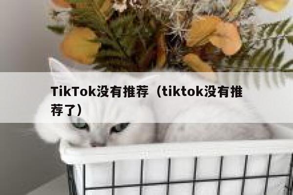 TikTok没有推荐（tiktok没有推荐了） 第1张