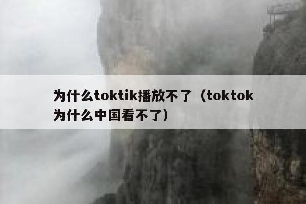 为什么toktik播放不了（toktok为什么中国看不了） 第1张