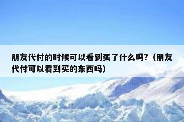 朋友代付的时候可以看到买了什么吗?（朋友代付可以看到买的东西吗） 第1张