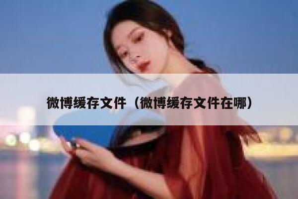 微博缓存文件（微博缓存文件在哪） 第1张