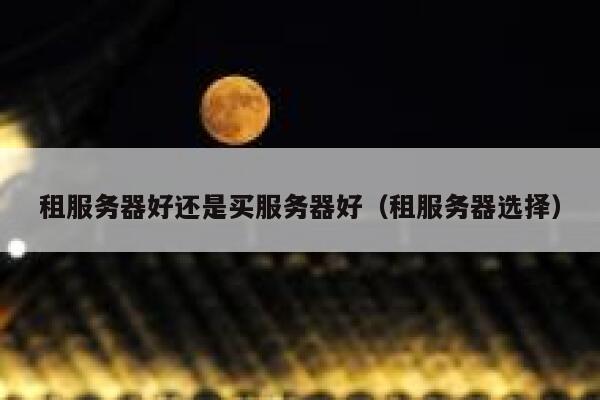 租服务器好还是买服务器好（租服务器选择） 第1张