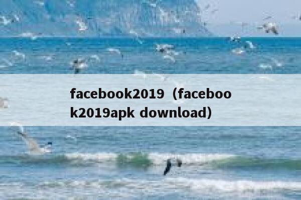 facebook2019（facebook2019apk download） 第1张