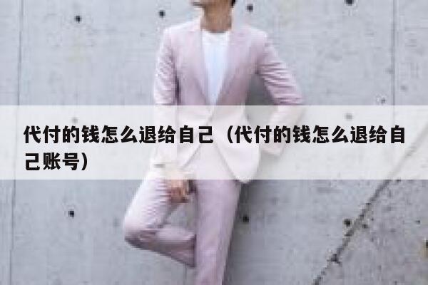 代付的钱怎么退给自己（代付的钱怎么退给自己账号） 第1张