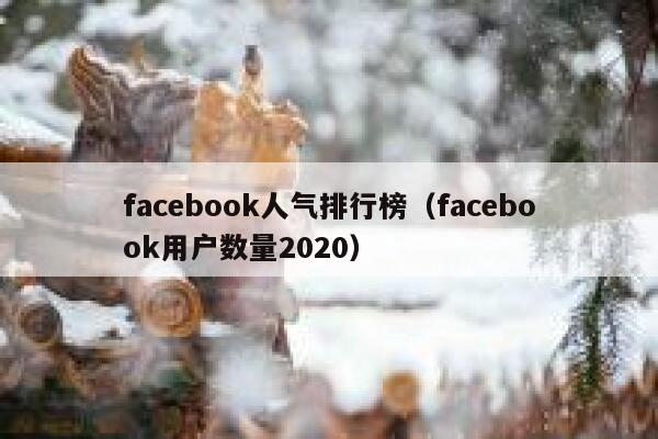 facebook人气排行榜（facebook用户数量2020） 第1张