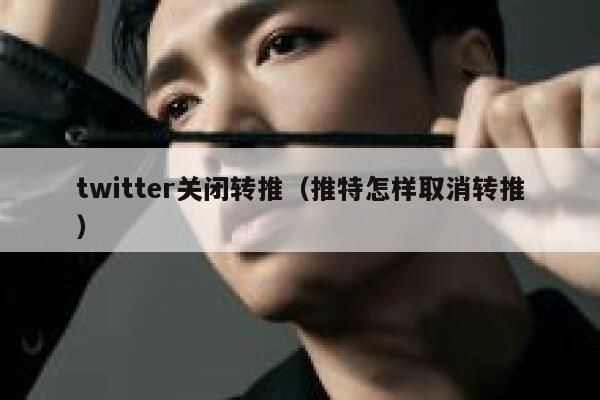 twitter关闭转推（推特怎样取消转推） 第1张