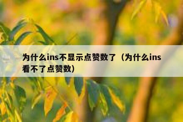 为什么ins不显示点赞数了（为什么ins看不了点赞数） 第1张
