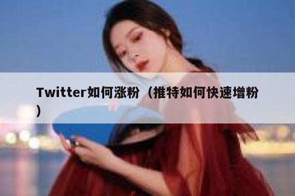 Twitter如何涨粉（推特如何快速增粉） 第1张