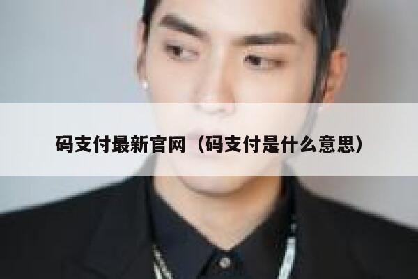码支付最新官网（码支付是什么意思） 第1张