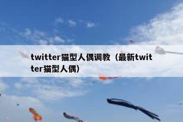 twitter猫型人偶调教（最新twitter猫型人偶） 第1张
