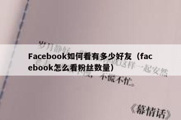 Facebook如何看有多少好友（facebook怎么看粉丝数量） 第1张