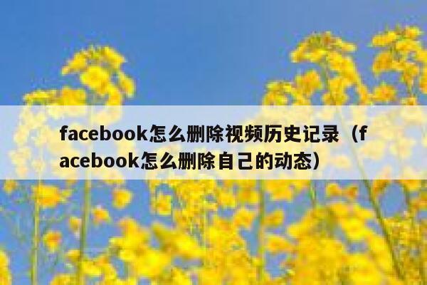 facebook怎么删除视频历史记录（facebook怎么删除自己的动态） 第1张