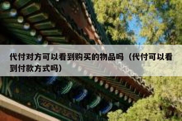 代付对方可以看到购买的物品吗（代付可以看到付款方式吗） 第1张