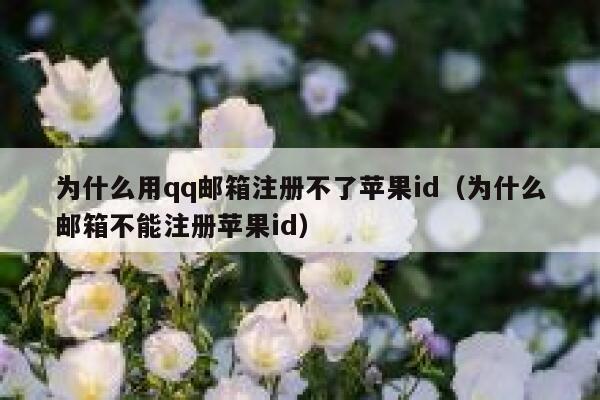 为什么用qq邮箱注册不了苹果id(为什么邮箱不能注册苹果id) 第1张 为什么用qq邮箱注册不了苹果id(为什么邮箱不能注册苹果id) 第1张