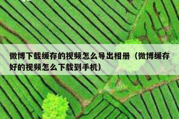 微博下载缓存的视频怎么导出相册（微博缓存好的视频怎么下载到手机） 第1张