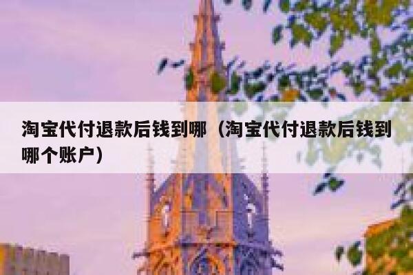 淘宝代付退款后钱到哪（淘宝代付退款后钱到哪个账户） 第1张