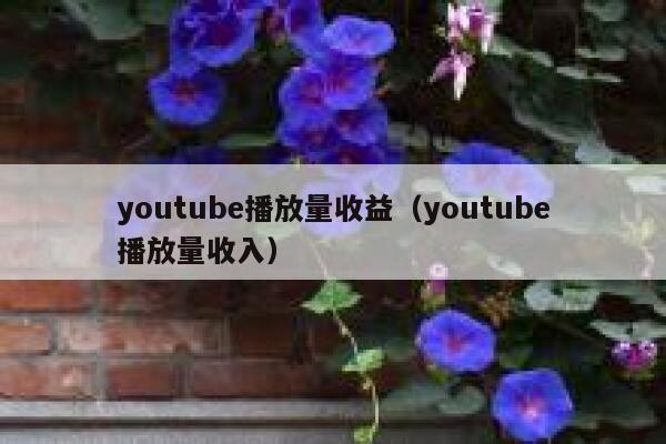 youtube播放量收益（youtube播放量收入） 第1张