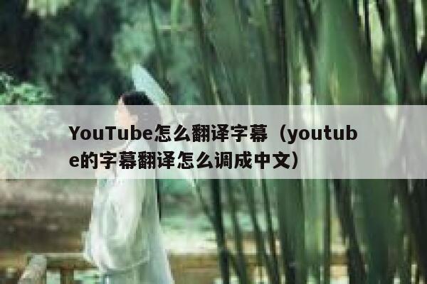 YouTube怎么翻译字幕（youtube的字幕翻译怎么调成中文） 第1张