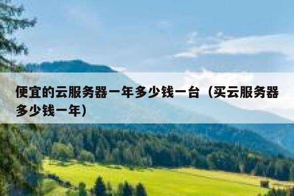 便宜的云服务器一年多少钱一台（买云服务器多少钱一年） 第1张