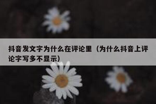 抖音发文字为什么在评论里（为什么抖音上评论字写多不显示） 第1张