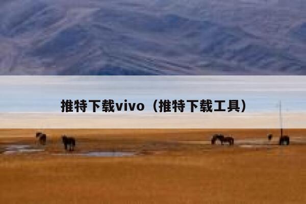 推特下载vivo（推特下载工具） 第1张