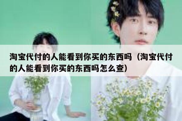 淘宝代付的人能看到你买的东西吗（淘宝代付的人能看到你买的东西吗怎么查） 第1张