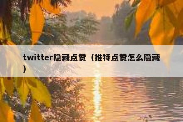 twitter隐藏点赞（推特点赞怎么隐藏） 第1张