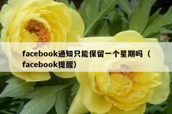 facebook通知只能保留一个星期吗（facebook提醒） 第1张