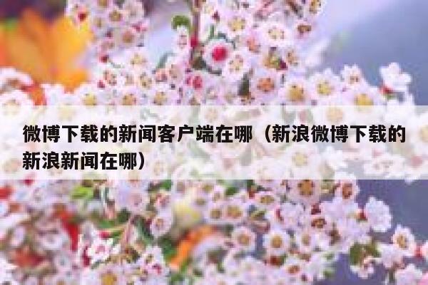 微博下载的新闻客户端在哪（新浪微博下载的新浪新闻在哪） 第1张