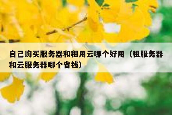 自己购买服务器和租用云哪个好用（租服务器和云服务器哪个省钱） 第1张