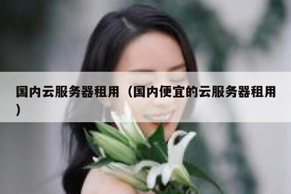 国内云服务器租用（国内便宜的云服务器租用） 第1张
