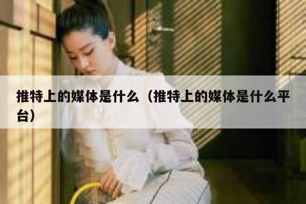 推特上的媒体是什么（推特上的媒体是什么平台） 第1张