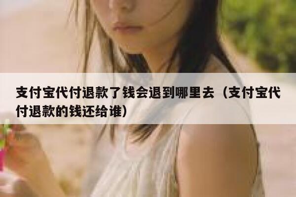 支付宝代付退款了钱会退到哪里去（支付宝代付退款的钱还给谁） 第1张