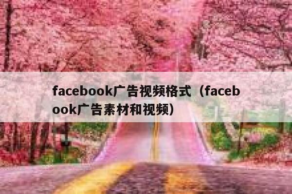 facebook广告视频格式（facebook广告素材和视频） 第1张