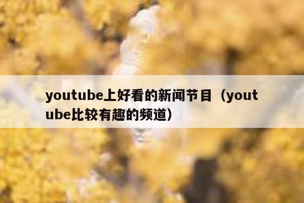 youtube上好看的新闻节目（youtube比较有趣的频道） 第1张