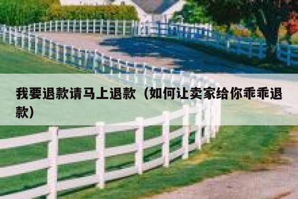 我要退款请马上退款（如何让卖家给你乖乖退款） 第1张