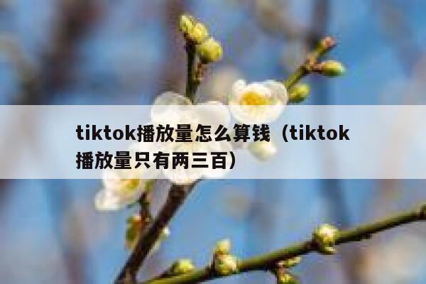 tiktok播放量怎么算钱（tiktok播放量只有两三百） 第1张