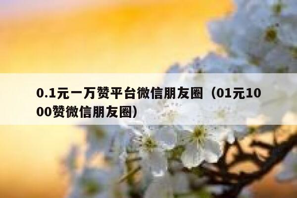 0.1元一万赞平台微信朋友圈（01元1000赞微信朋友圈） 第1张