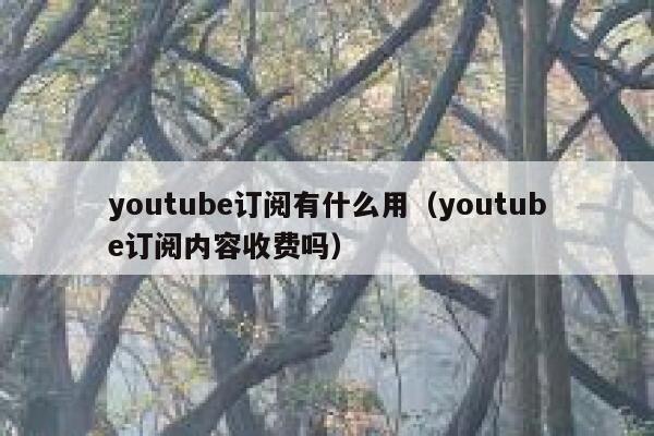 youtube订阅有什么用（youtube订阅内容收费吗） 第1张
