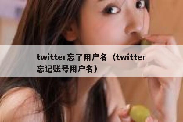 twitter忘了用户名（twitter忘记账号用户名） 第1张