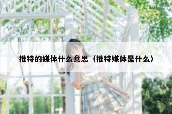 推特的媒体什么意思（推特媒体是什么） 第1张
