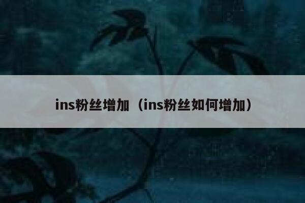 ins粉丝增加（ins粉丝如何增加） 第1张