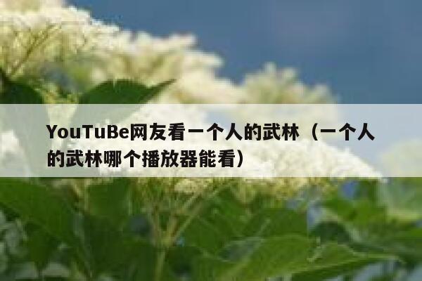 YouTuBe网友看一个人的武林（一个人的武林哪个播放器能看） 第1张