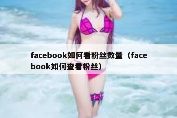 facebook如何看粉丝数量（facebook如何查看粉丝） 第1张