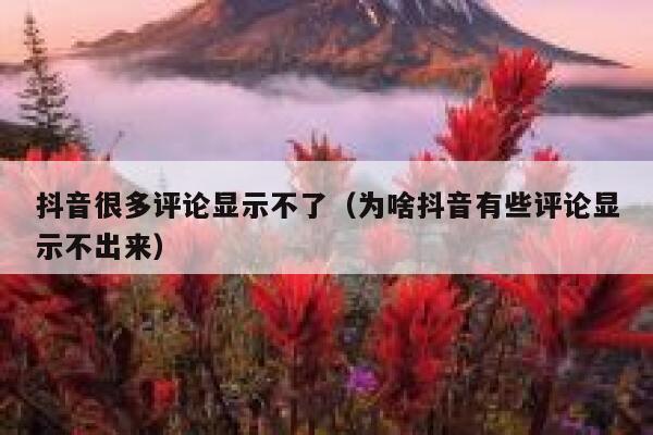 抖音很多评论显示不了（为啥抖音有些评论显示不出来） 第1张