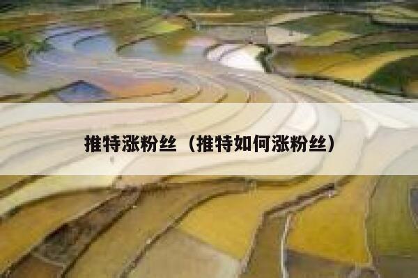 推特涨粉丝（推特如何涨粉丝） 第1张