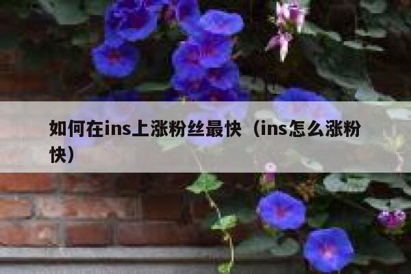 如何在ins上涨粉丝最快（ins怎么涨粉快） 第1张
