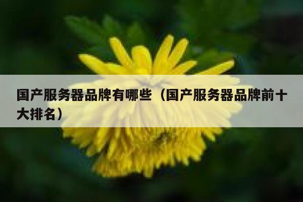 国产服务器品牌有哪些（国产服务器品牌前十大排名） 第1张