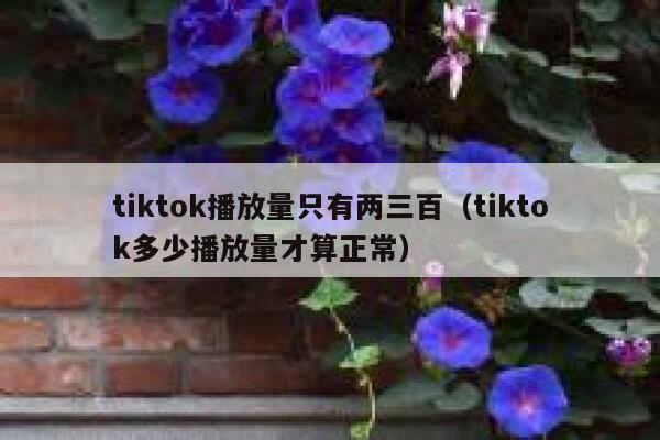 tiktok播放量只有两三百（tiktok多少播放量才算正常） 第1张