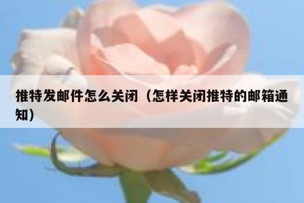 推特发邮件怎么关闭（怎样关闭推特的邮箱通知） 第1张